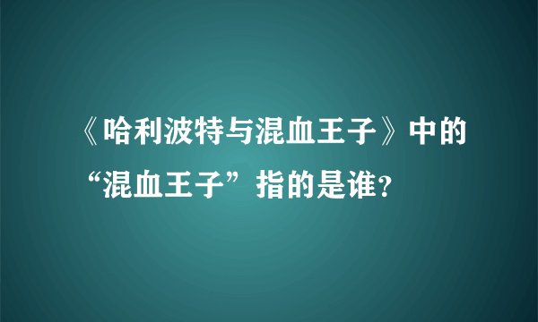 《哈利波特与混血王子》中的“混血王子”指的是谁？