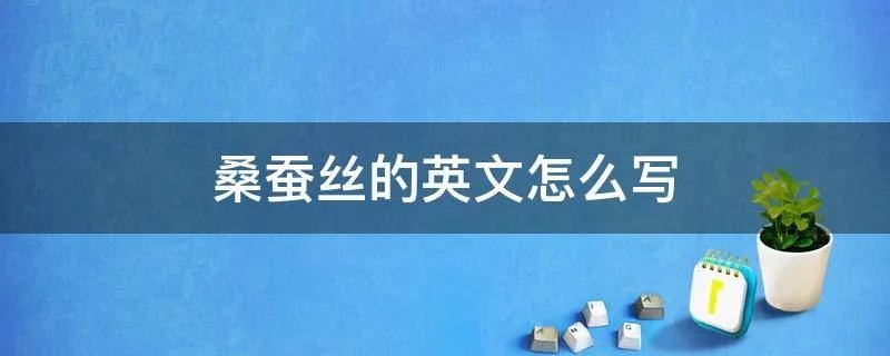 桑蚕丝的英文怎么写