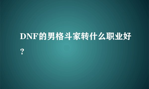 DNF的男格斗家转什么职业好？