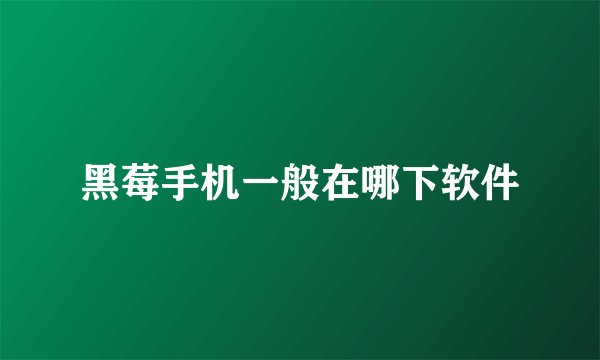 黑莓手机一般在哪下软件