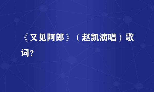 《又见阿郎》(赵凯演唱)歌词?