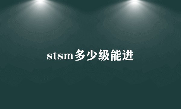 stsm多少级能进