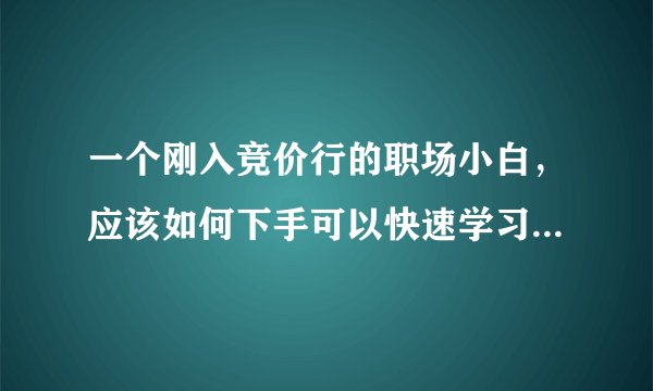 一个刚入竞价行的职场小白，应该如何下手可以快速学习百度竞价？