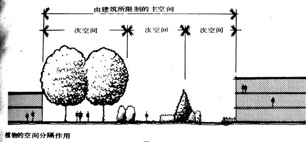 干货 | 庭院植物打造,营造十足空间感