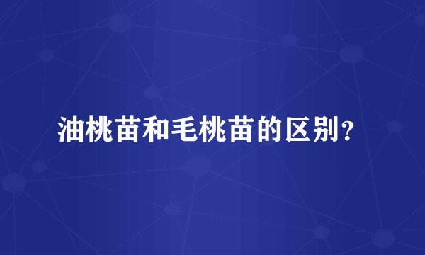 油桃苗和毛桃苗的区别？