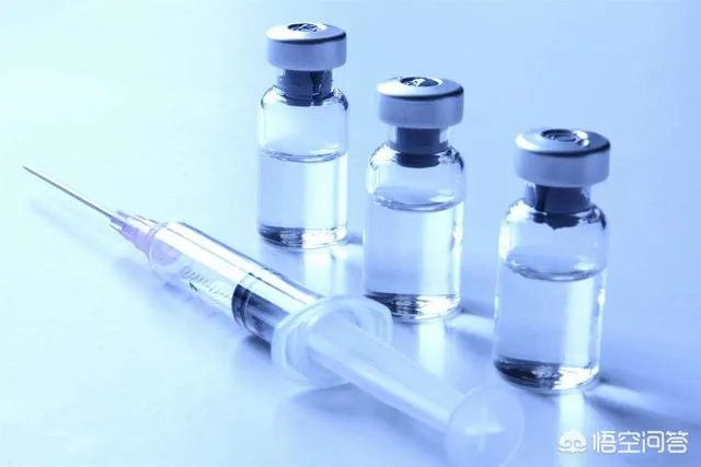 大家认为高俊芳的老公和儿子会判刑吗?