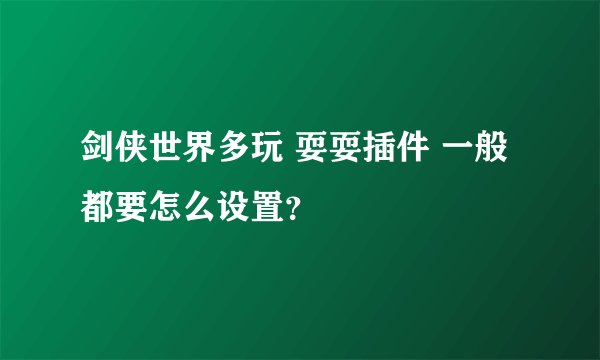 剑侠世界多玩 耍耍插件 一般都要怎么设置？