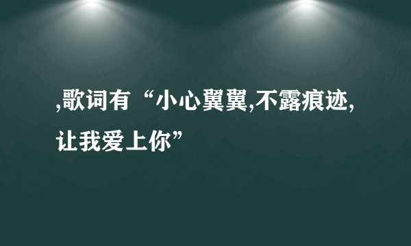 ,歌词有“小心翼翼,不露痕迹,让我爱上你”