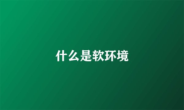 什么是软环境