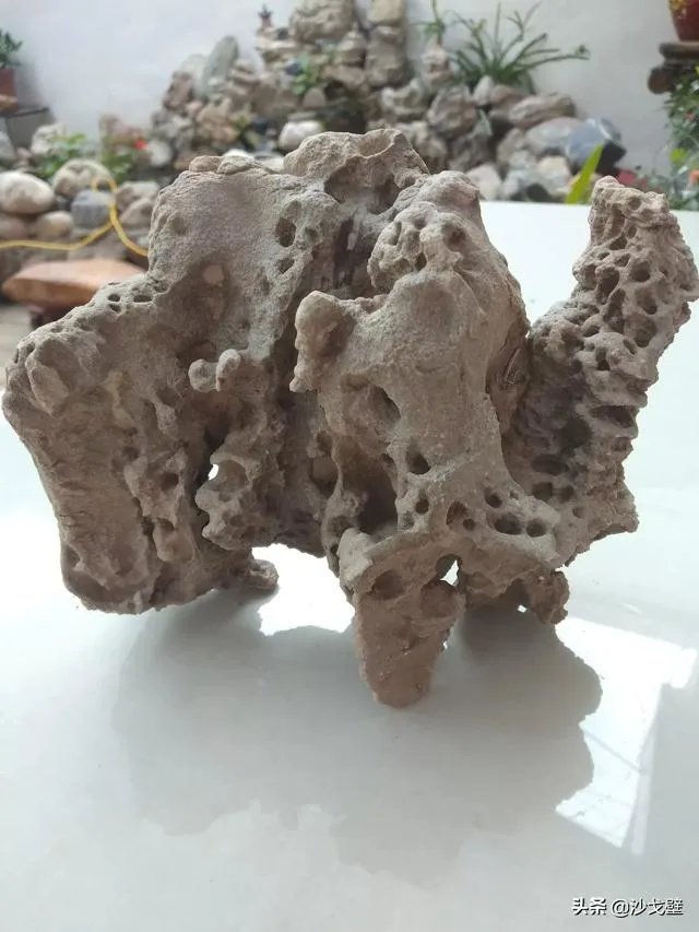 你喜欢到哪里捡奇石,收获如何?