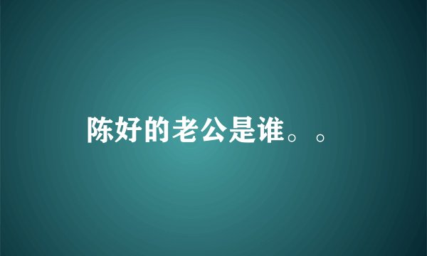 陈好的老公是谁。。