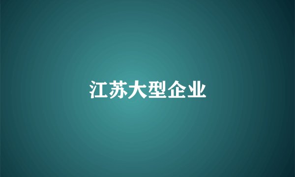 江苏大型企业