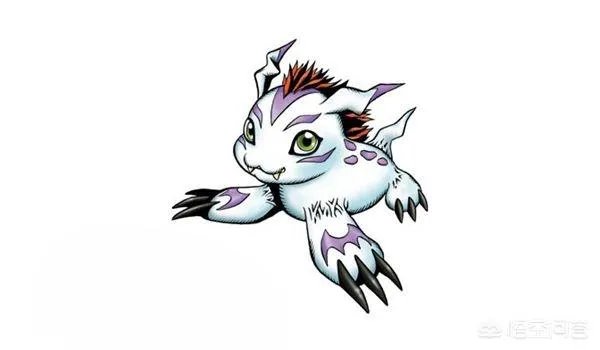 全职猎人小杰声优还配过哪些动漫?需要关注哪些点?