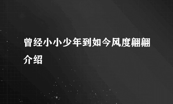 曾经小小少年到如今风度翩翩介绍