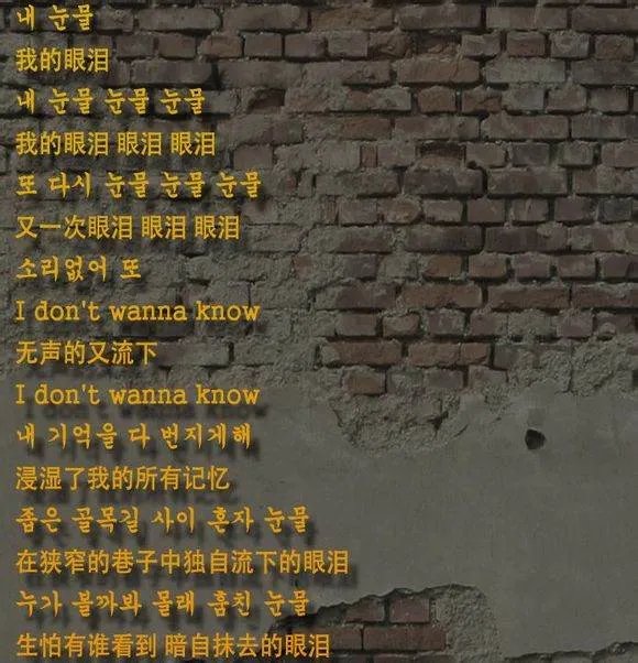 LeeSsang 眼泪的中文歌词