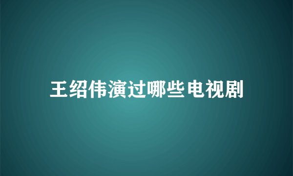 王绍伟演过哪些电视剧