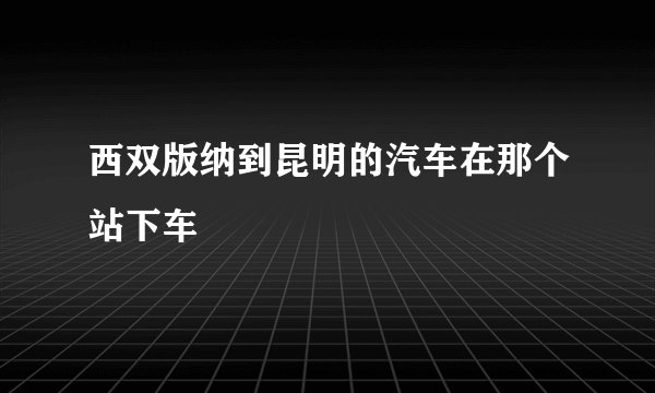 西双版纳到昆明的汽车在那个站下车