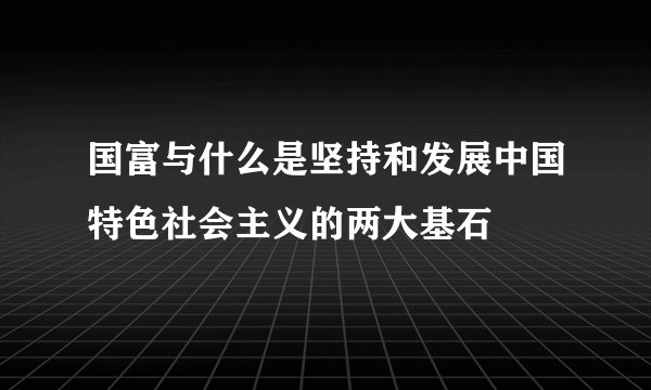 国富与什么是坚持和发展中国特色社会主义的两大基石