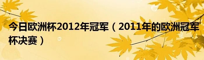 今日欧洲杯2012年冠军（2011年的欧洲冠军杯决赛）