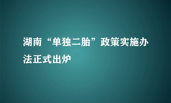 湖南“单独二胎”政策实施办法正式出炉