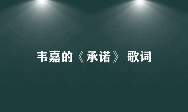 韦嘉的《承诺》 歌词