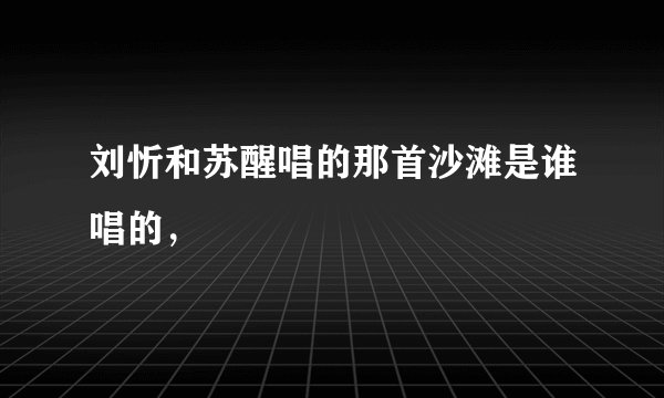 刘忻和苏醒唱的那首沙滩是谁唱的，
