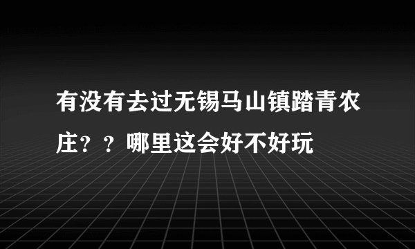 有没有去过无锡马山镇踏青农庄？？哪里这会好不好玩