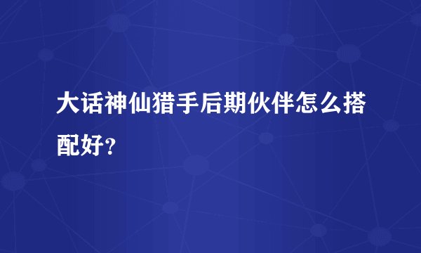大话神仙猎手后期伙伴怎么搭配好？