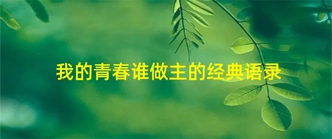 我的青春谁做主的经典语录