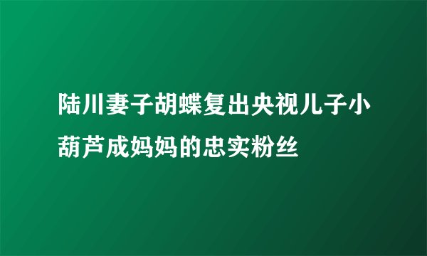 陆川妻子胡蝶复出央视儿子小葫芦成妈妈的忠实粉丝
