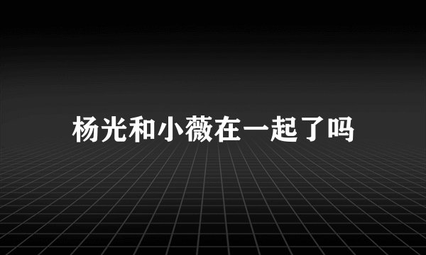 杨光和小薇在一起了吗