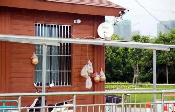 武汉青山江滩,一公厕竟被改成餐馆,这符合规定吗?