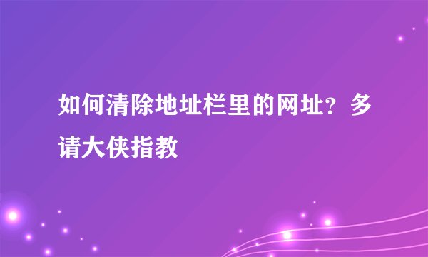 如何清除地址栏里的网址？多请大侠指教