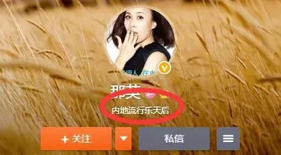 那英微博简介内地流行乐天后