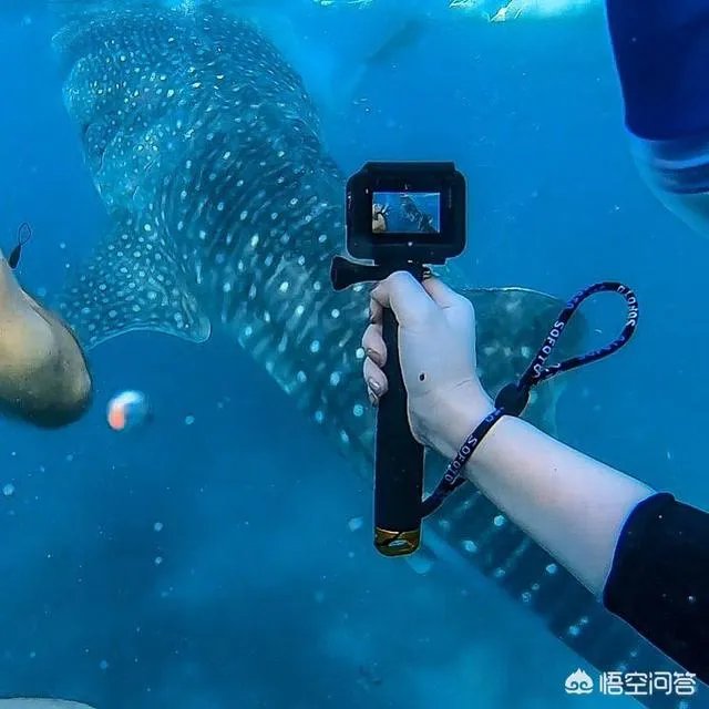 你怎么看待出境游?