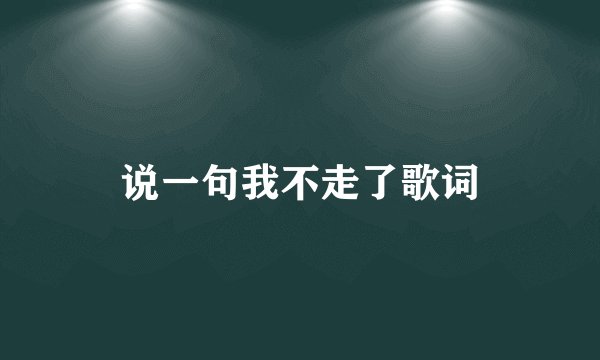 说一句我不走了歌词