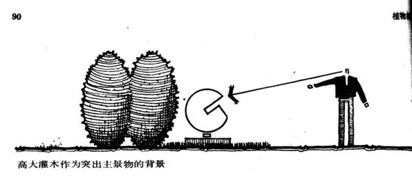 干货 | 庭院植物打造,营造十足空间感