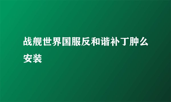 战舰世界国服反和谐补丁肿么安装