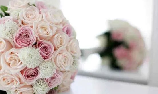20朵玫瑰花代表什么意思 玫瑰花送几朵代表什么