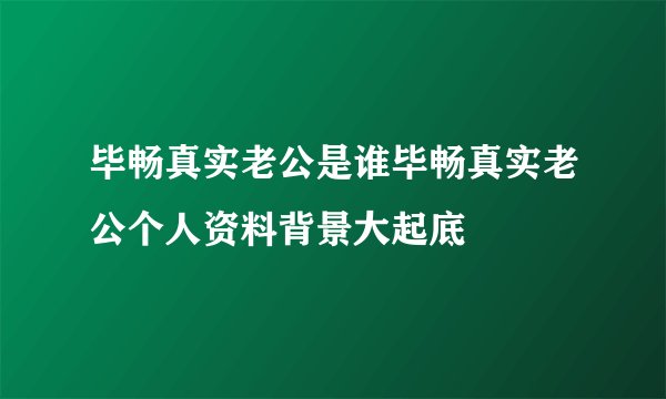毕畅真实老公是谁毕畅真实老公个人资料背景大起底