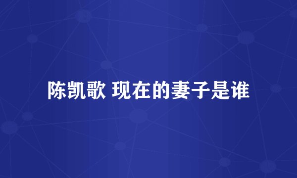 陈凯歌 现在的妻子是谁