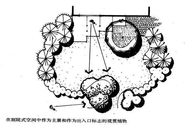 干货 | 庭院植物打造,营造十足空间感