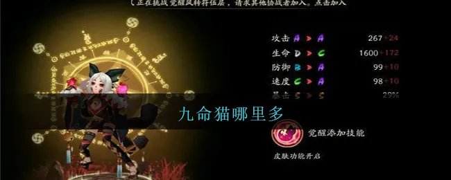 九命猫哪里多