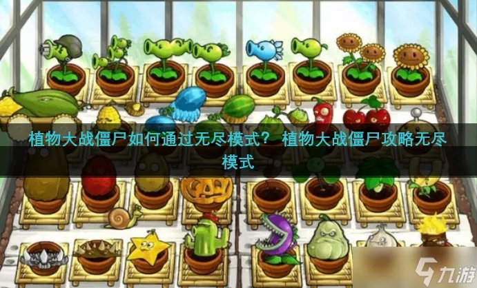 植物大战僵尸如何通过无尽模式  植物大战僵尸攻略无尽模式