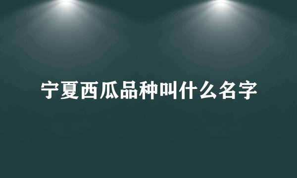 宁夏西瓜品种叫什么名字