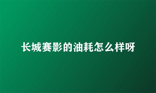 长城赛影的油耗怎么样呀