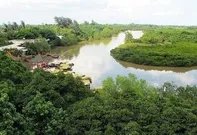 广西河池洞穴现珍稀水生物,如何有效地保护珍稀水生物?