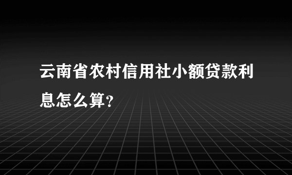 云南省农村信用社小额贷款利息怎么算？