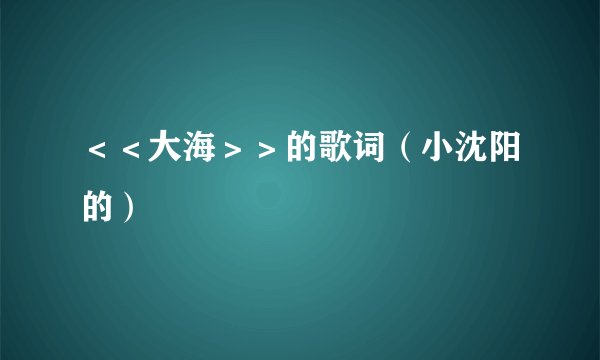 ＜＜大海＞＞的歌词（小沈阳的）