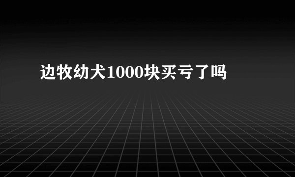 边牧幼犬1000块买亏了吗